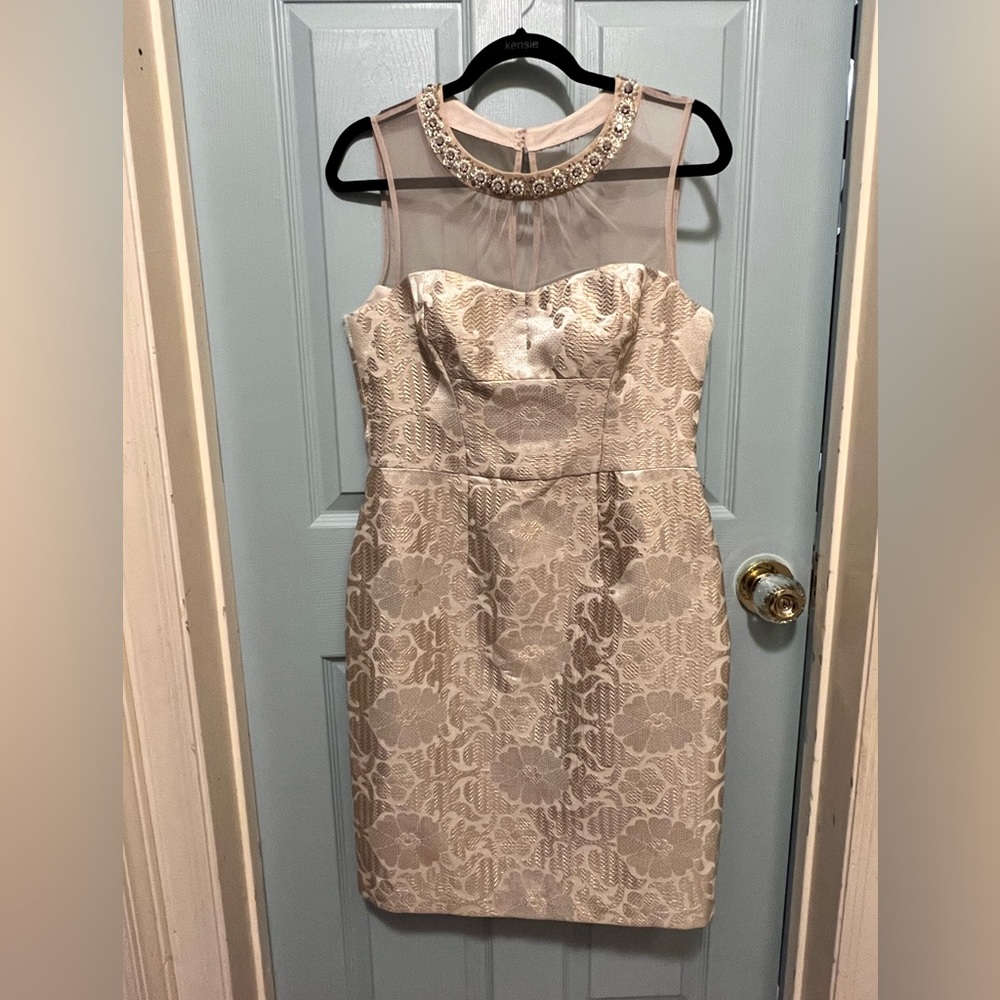Maggy London Illusion Dress